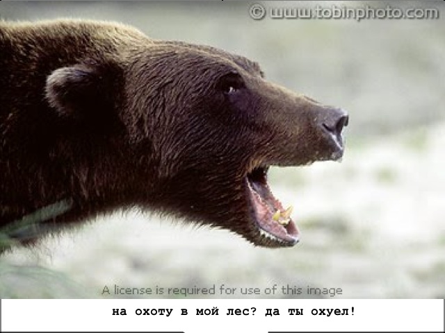 Небольшой поход