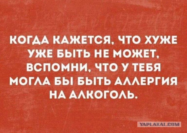 Так себе картинки 21.04.22