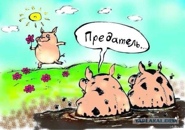 ❗️Директор Института теоретической и прикладной механики СО РАН Александр Шиплюк арестован по делу о госизмене