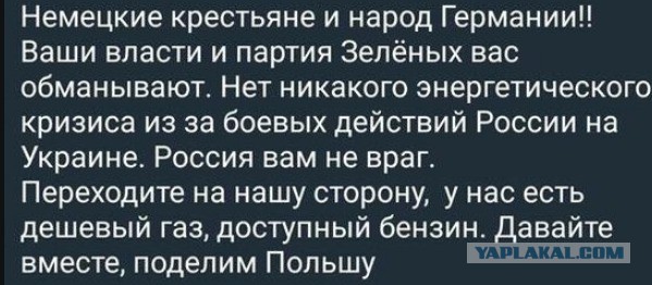 В Германии появилась вывеска с извинениями перед россиянами