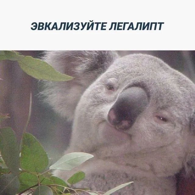 Прикольные и просто красивые картинки 16.06.2023