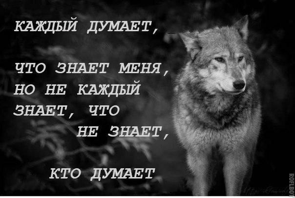 Народная меДИЧина 5009