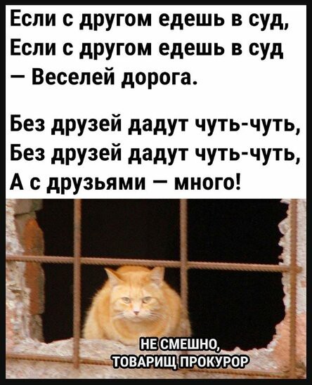 Нуштош 10.08.2023