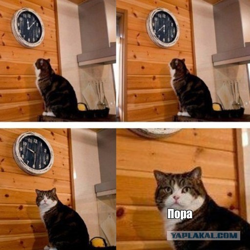 Беспилотники в Смоленске.