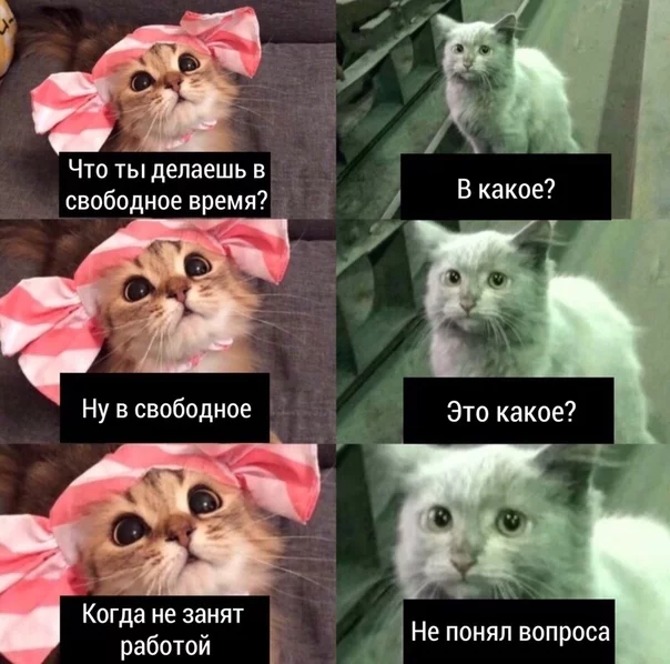 А чем Вы занимаетесь в свободное время?