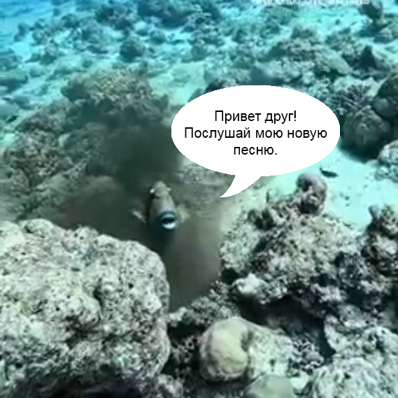 Камуфляж спас