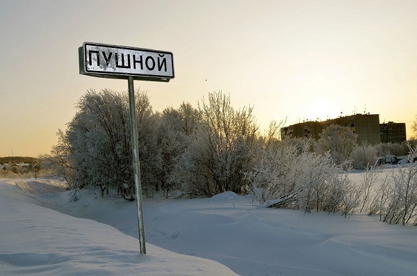 С днюхой, дядя Саша !