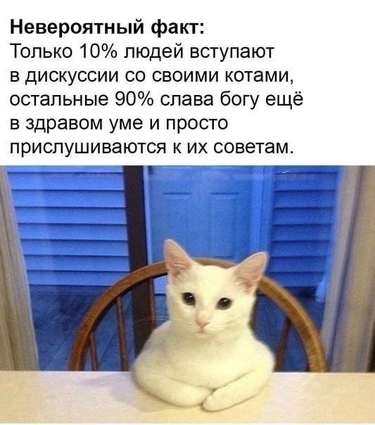 Котовтоник в картинках