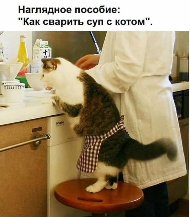 Так себе картинки 11.11.24