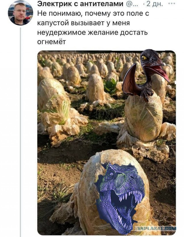 И в самом деле есть желание сжечь тут всё