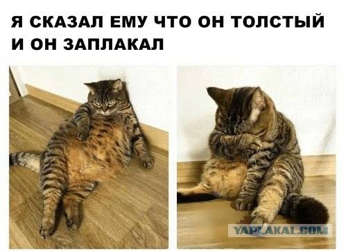 Завалялось тут случайно немного забавных картинок