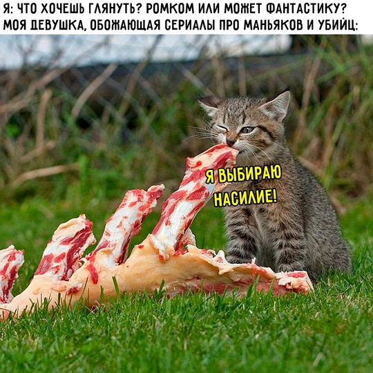 Весёлый полтишок 22.08.25