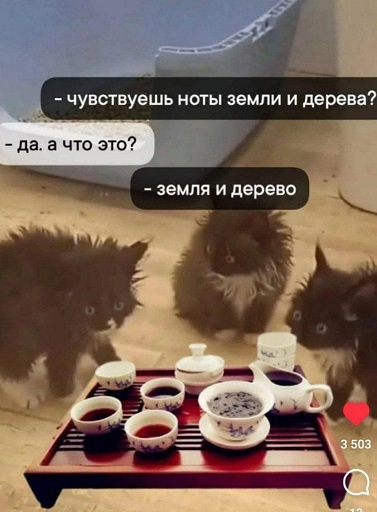 Дэвид Духовный