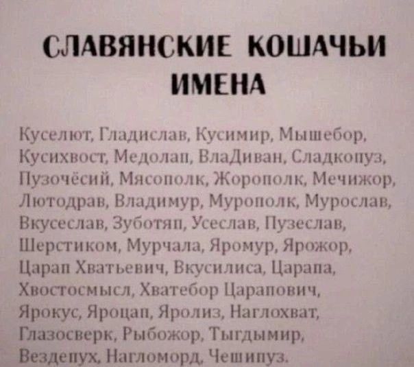 Прикольные и просто красивые картинки 10.10.2025