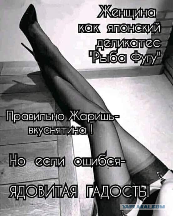 Картинки для деградации 84 (разной степени свежести)
