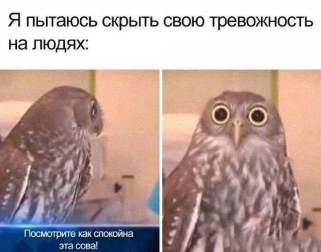 Прикольные и просто красивые картинки 12.12.2025