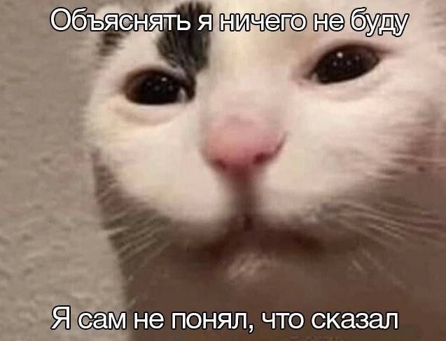 Хорошо зимой!