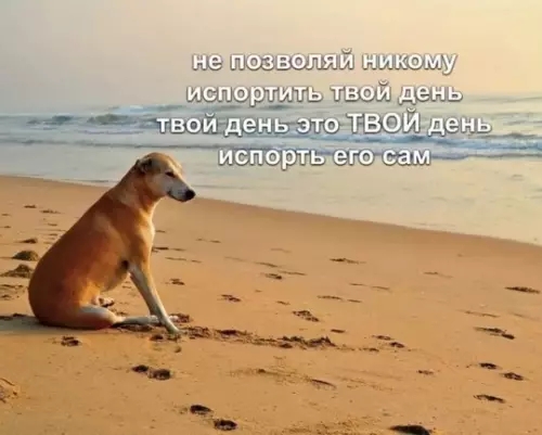 Картиночки, баянчики 06 марта