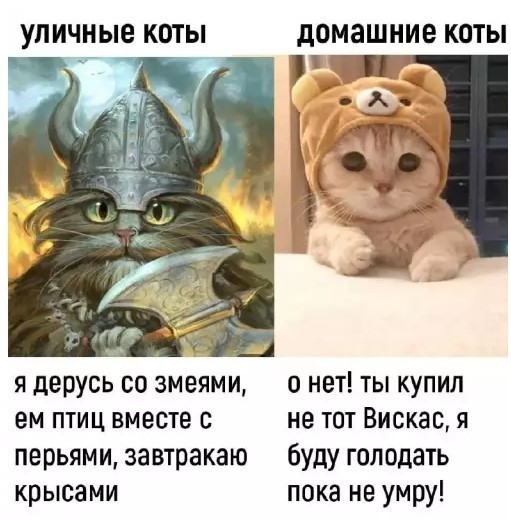 Картинки для деградации 246 (разной степени свежести)