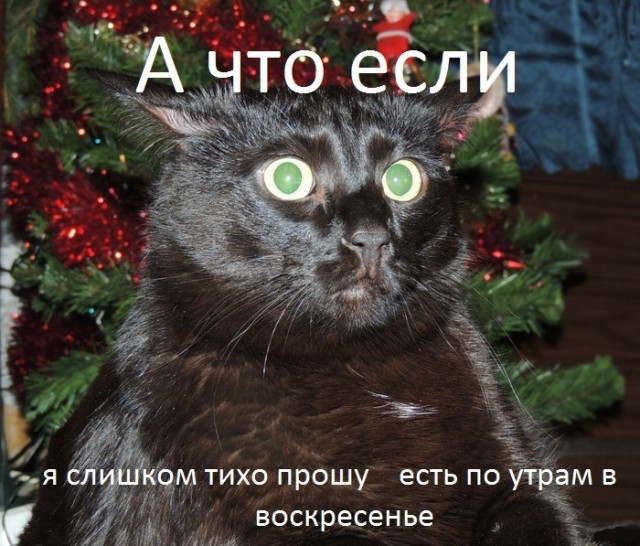 Доставило