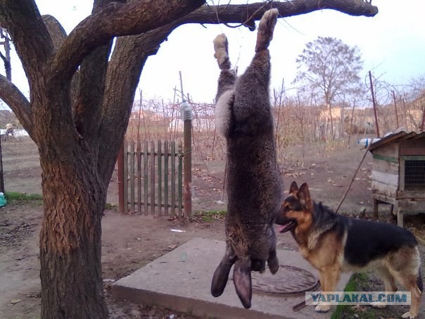 Красота требует жертв?