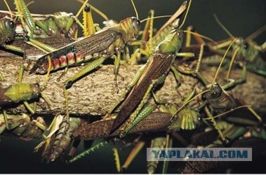 Испанский архитектор разработал проект