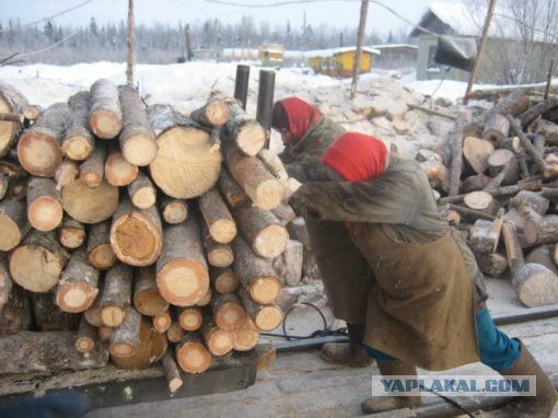 Мужская не женская работа