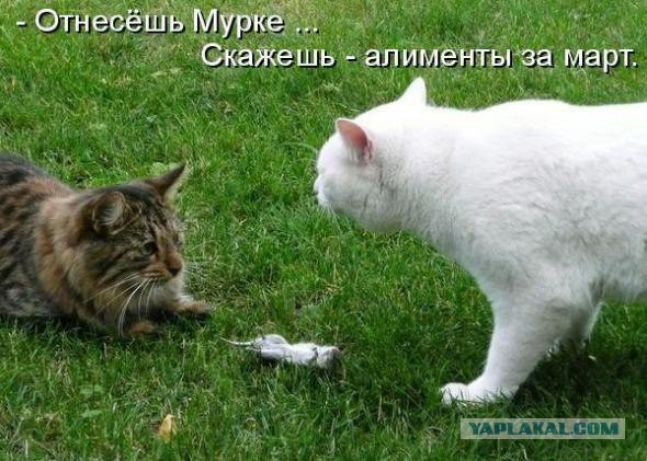 Соседка собирается подавать на алименты