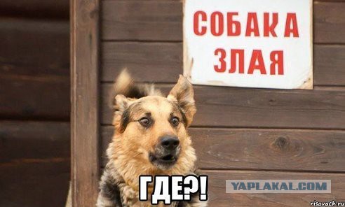 Смешные картинки и комментарии