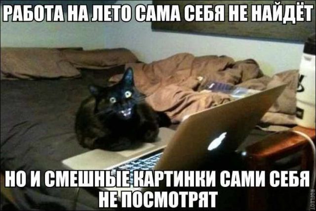 Поднимаем настроение