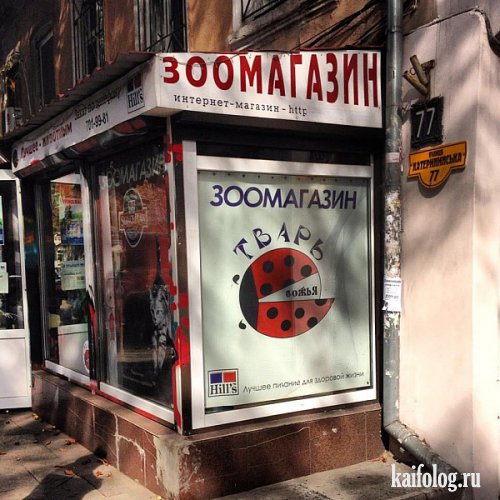 немного маразмов