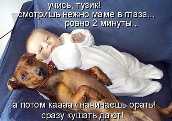 Для настроения!