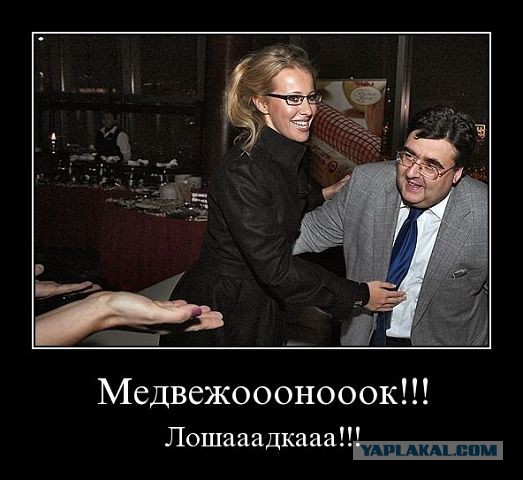 Веселые картинки