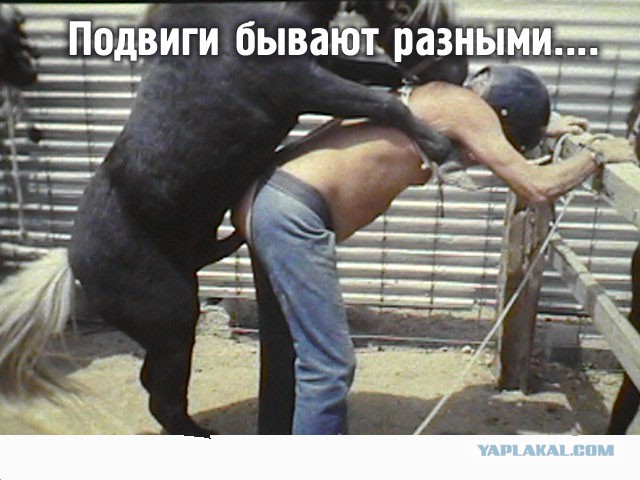 Обнаружил переписку своей жены с другом детства
