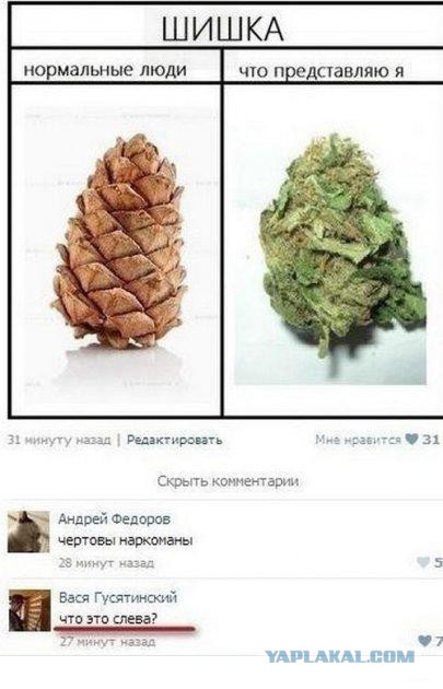 Смешные комментарии из социальных сетей