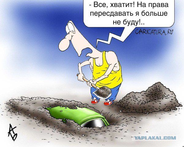 Это не водятел ...