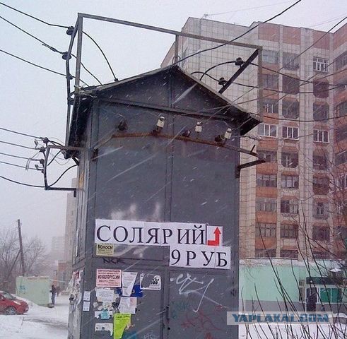Весёлое из сети