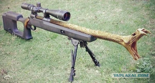 Современный мушкет