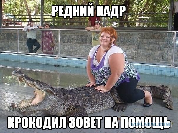 Смешные картинки и комментарии из сети