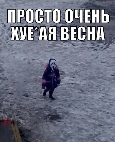 Очередные картинки