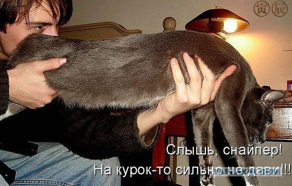 Прикольные картинки из сети