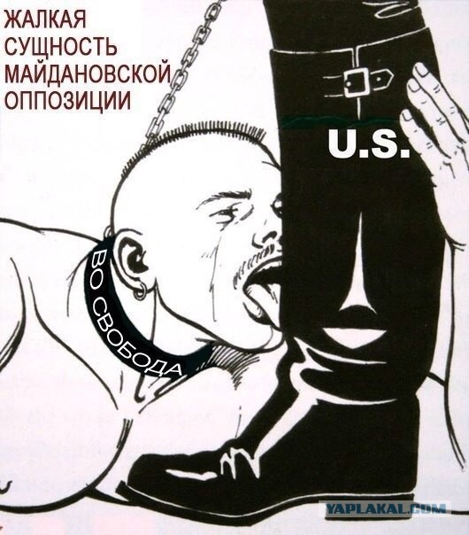 А так во Львове "поздравляли" Ветеранов...