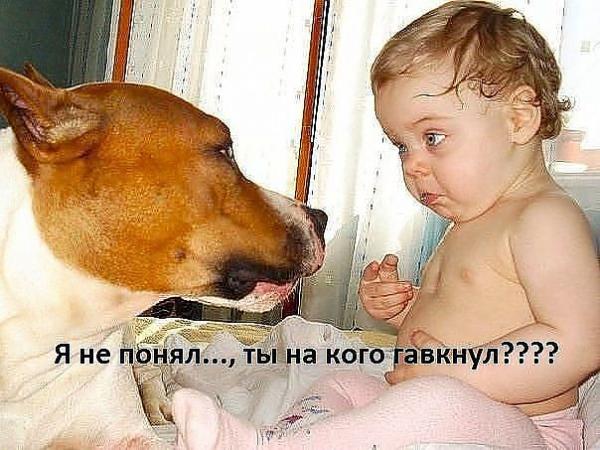 Веселые картинки