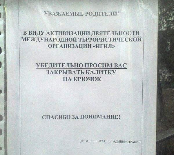 Картинки  из сети