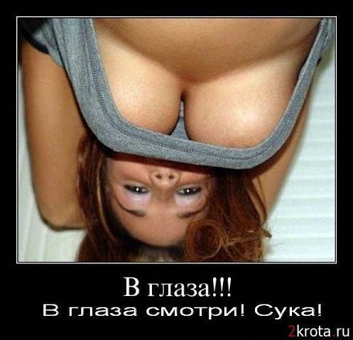 Картинки и демотиваторы