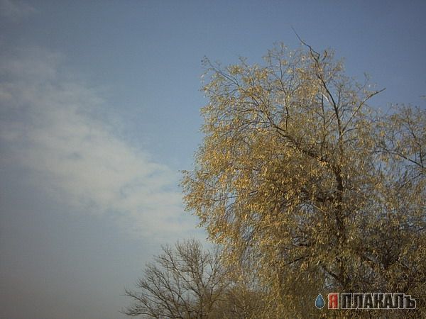 ПРИРОДА. Красивые пейзажи, города, небо и т.п.