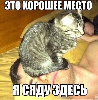 Всяко - разно...картинки