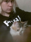 Жизнь домашнего приюта для котеек 96
