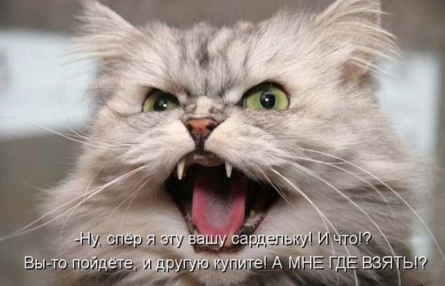 Подборка забавных картинок