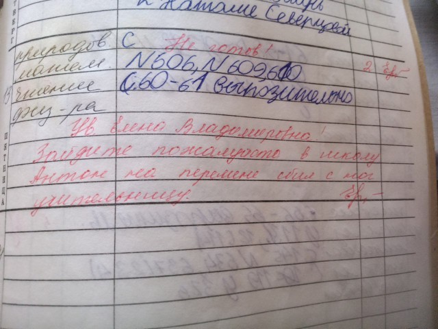 Записи в школьных дневниках
